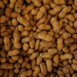 photography of brown nuts